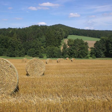 Ferienhof An Der Lay Kerpen  Eksteriør billede